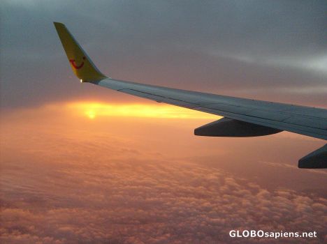 Postcard Flying Home