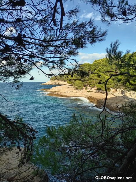 Postcard Stoja Beach