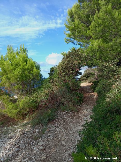 Postcard Coastal Path