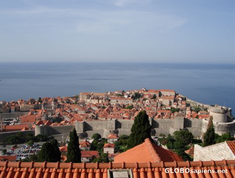 Postcard Red rooftoop view of old dubrovnik