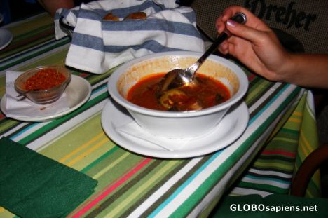 Postcard Fish Soup