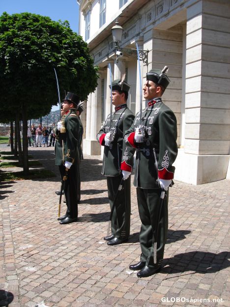 Postcard Changing of the guard
