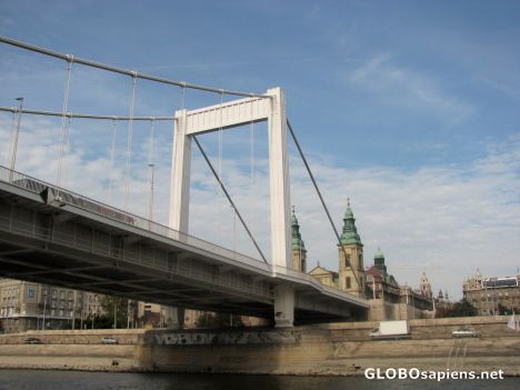 Postcard Elizabeth Bridge