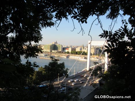 Postcard Gellert Hiil