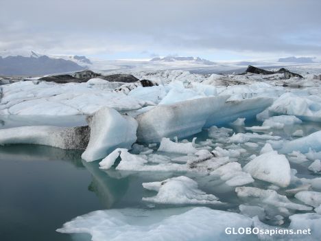 Postcard Mini icebergs