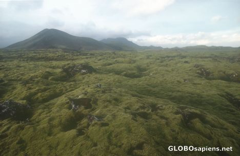 Postcard Moss Covered Lava