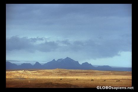 Postcard Mountainview