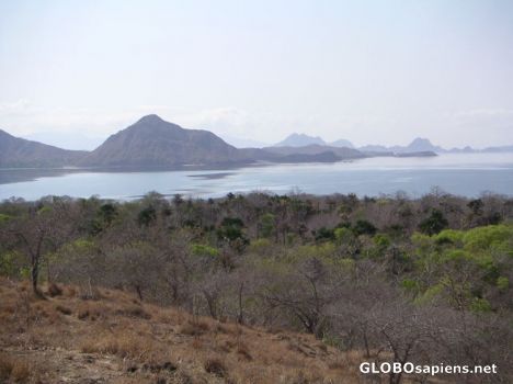 Postcard Komodo Island 1