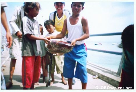 Postcard Big Squid