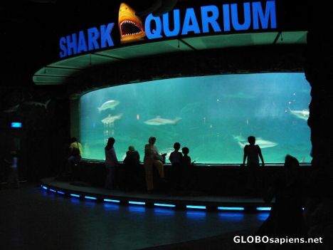 Postcard Aquapark Jakarta