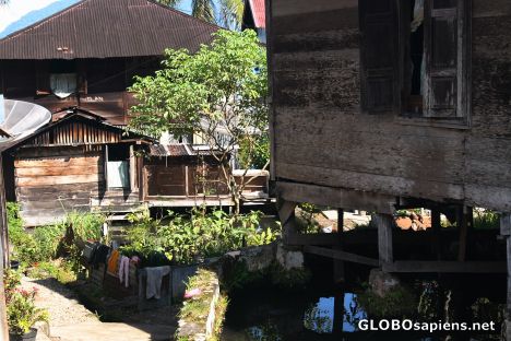 Postcard Stilted house