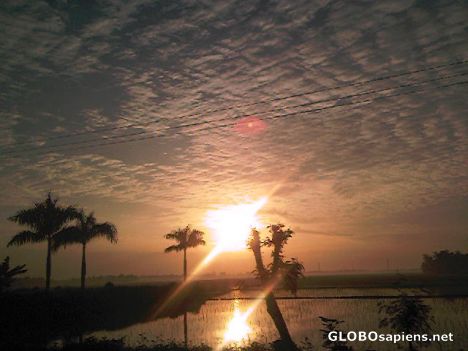 Postcard sunrise oh sunshine