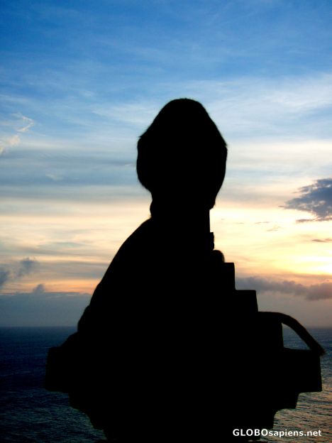 Postcard the monkey saw the sunset