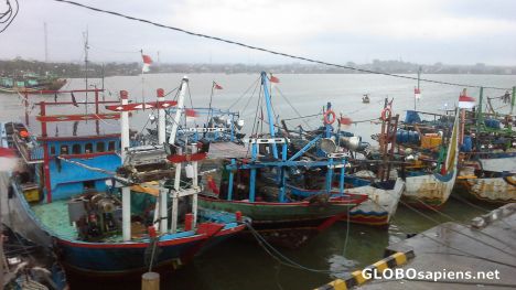 Postcard Fishing boats in the port
