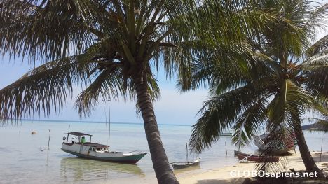 Postcard Barracuda Beach