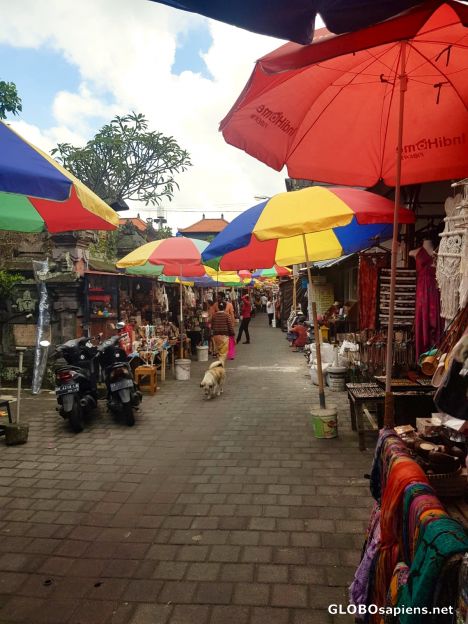 Postcard Bali - Ubud