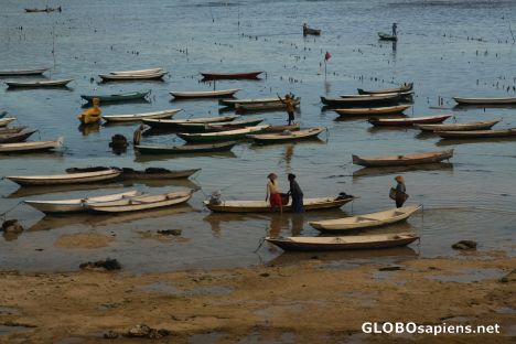 Postcard Seaweed harvest