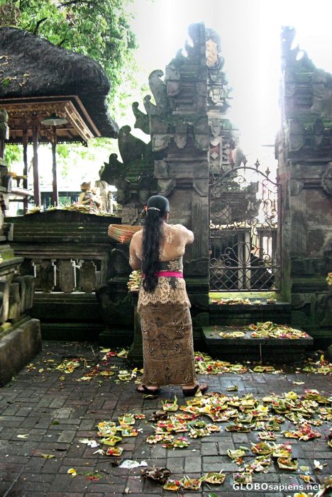 Postcard Making Offerings, Ubud, Bali