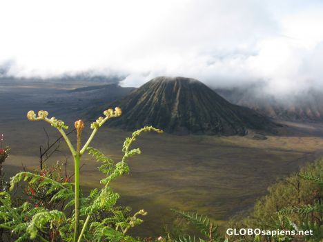 Postcard Morning in Bromo Mountain