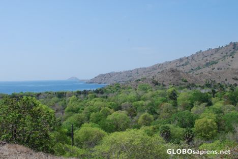 Postcard Komodo National Park