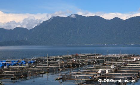 Postcard Fish farm 2