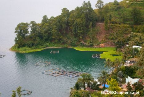 Postcard The shore of Lake Toba