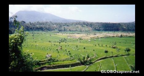 Postcard Glorious countryside