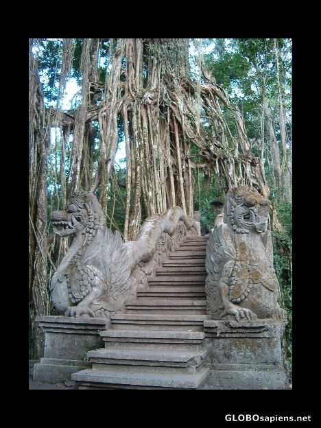 Dragon balustrade in the jungle