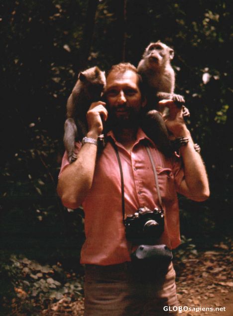 Postcard The Monkeys from Ubud