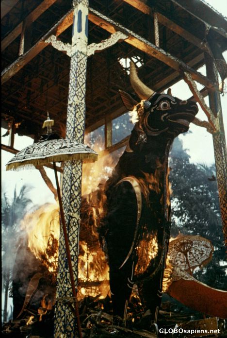 Postcard Cremation of a member of the king family
