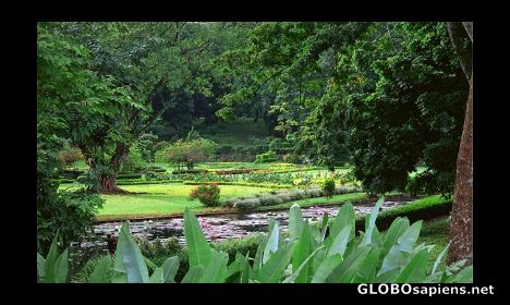 Postcard Bogor, Java