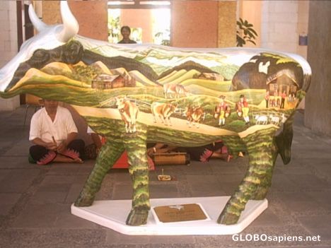 Postcard Swiss Cow in Bali