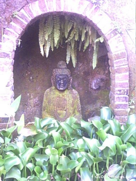 Postcard Forgotten Buddha