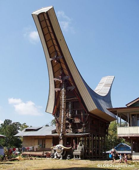 Postcard tana toraja