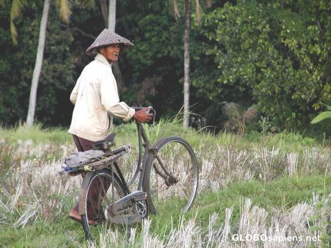 Postcard Farmer in the ricefield