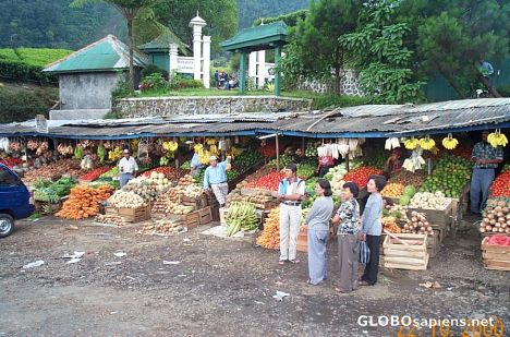 Postcard market