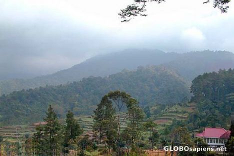 Postcard Panorama in Puncak