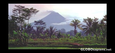 Postcard Near Borobudur, Java