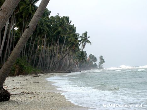 Postcard coral beach