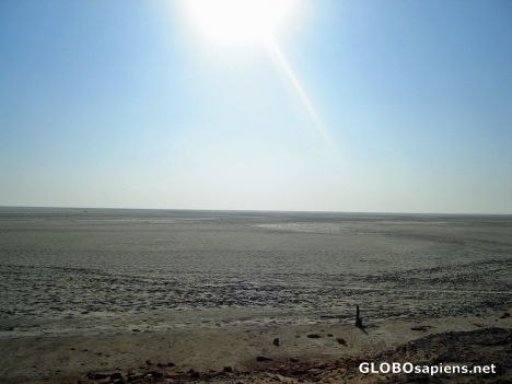 Postcard The Great Rann of Kutch