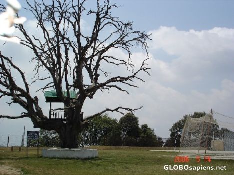 Postcard World's Highest Cricket Ground