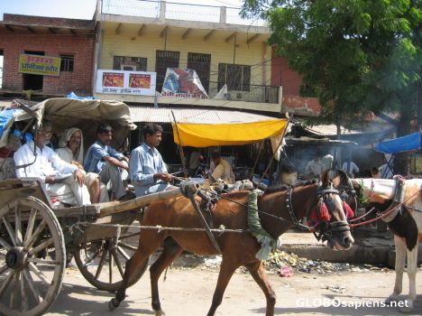 Postcard Horse Drawn Taxi