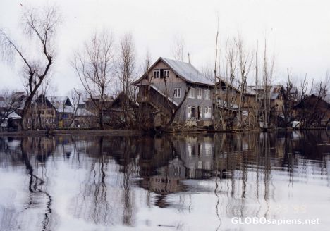 Postcard House in Srinagar