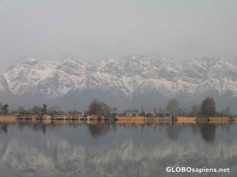 Postcard Houseboats on Dal Lake