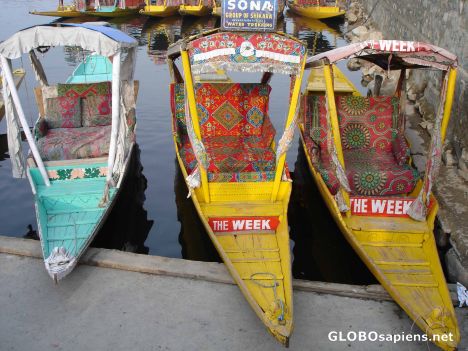 Postcard Colourful Shikara Boats on Dal Lake