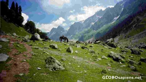 Postcard Trekking ca 2 Autostunden von Srinagar
