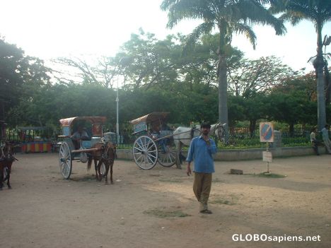 Postcard Horse carts from a bygone era