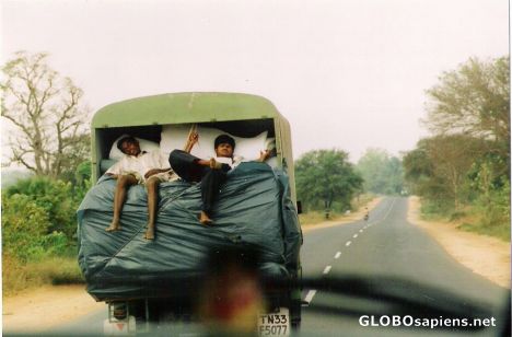 Postcard Sleeping