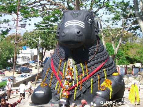 Postcard Giant Nandi at Chamundeshwari Hills