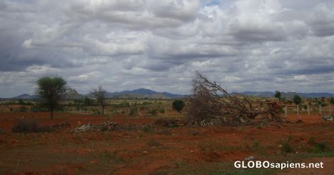 Postcard Typical landscape around northern bangalore
